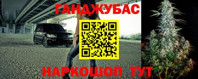 шишки Будённовск