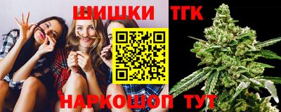дживик Камень-на-Оби