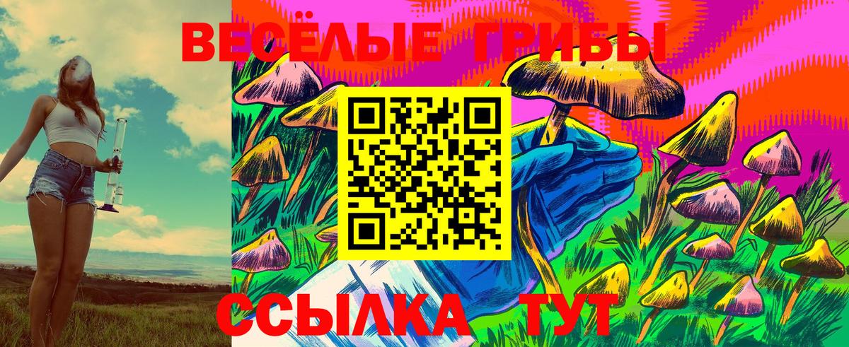 Псилоцибиновые грибы GOLDEN TEACHER  Галлюциногенные грибы мицелий  наркошоп  Новоалтайск  Вход с VPN 