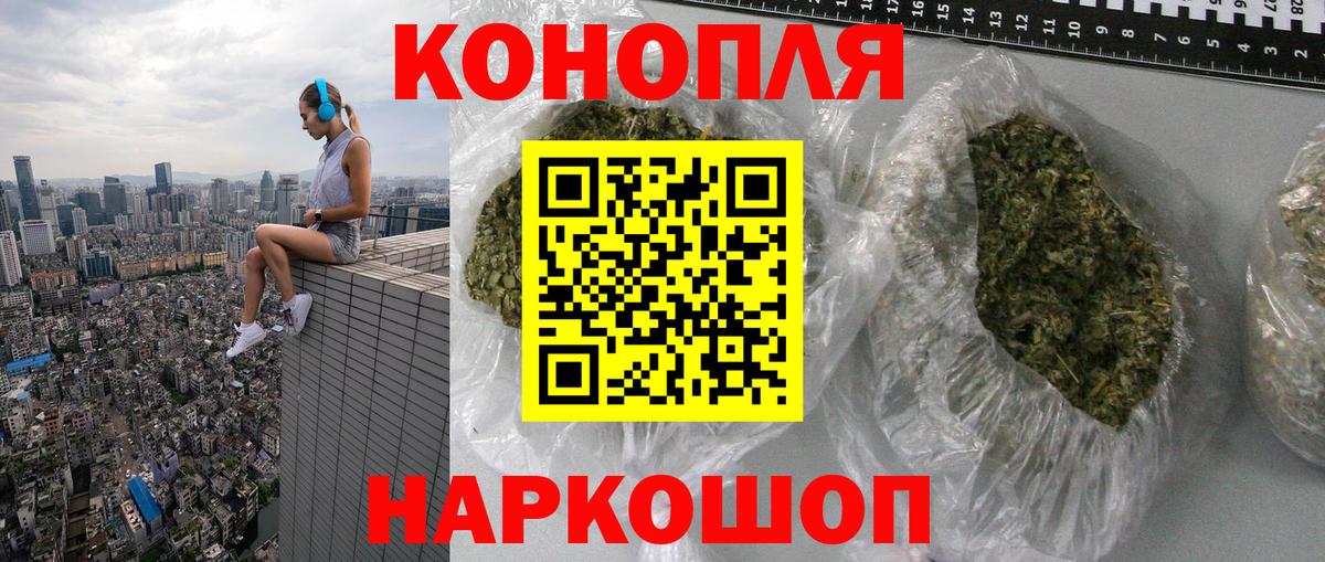 Бошки марихуана конопля Новоалтайск